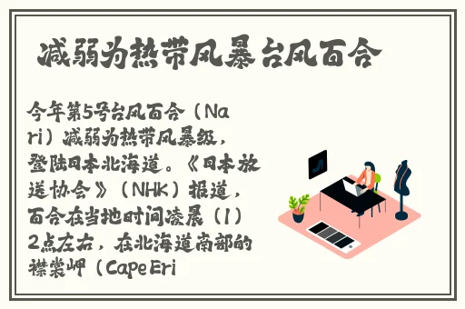 BGMBGM老太太**